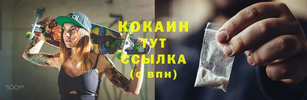 дмт Горно-Алтайск