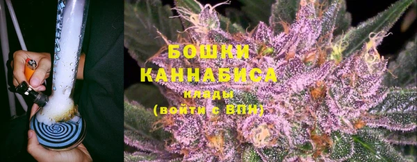 бошки Белокуриха
