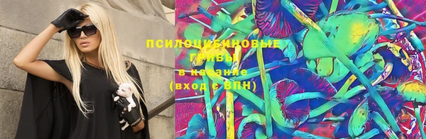 бошки Белокуриха