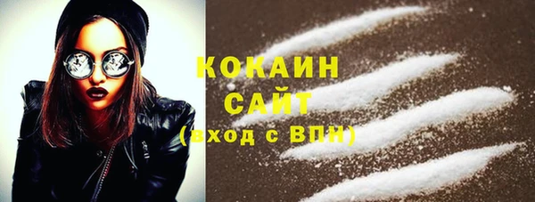 бошки Белокуриха
