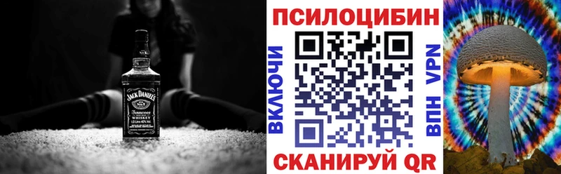 наркотики Онега Псилоцибиновые грибы MAGIC MUSHROOMS