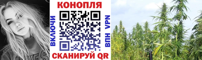 Марихуана марихуана Онега